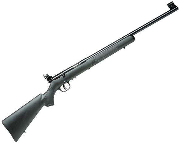 Picture of Savage Arms Mark II Series, Mark II FVT Rimfire Bolt Action Rifle - 22 LR, 21", Satin Blued, Carbon Steel, Matte Black Synthetic Stock, 5rds, Peep Sights, AccuTrigger