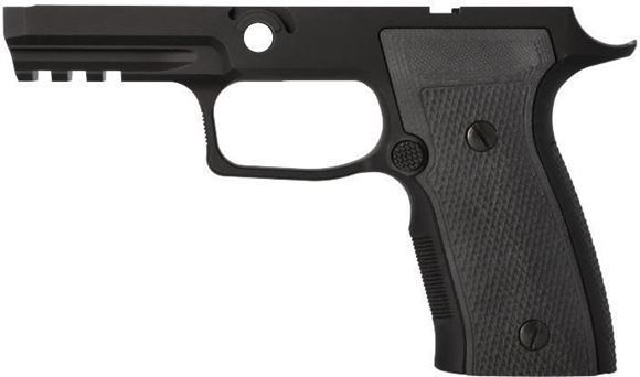 Picture of SIG SAUER Parts, Grip Module - P320, AXG, Carry Size