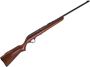 Picture of Used Cooey Model 64 Semi-Auto Rifle - 22 LR, 20", Worn Wood Stock, Minor Rust & Pitting on Barrel, One Magazine, Fair Condition