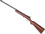 Picture of Used Cooey Model 39 Single Shot Bolt Action Rifle, 22 LR, 22" Blued Barrel, Rear Aperature Sight, Modified Bolt Knob, Fair Condition