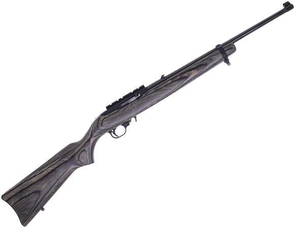 Used Ruger 10/22 Semi-Auto 22 LR, 18