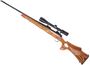 Picture of Used Remington 700 Bolt-Action Rifle, 22-250, 24" barrel, Blued, Laminate Thumbhole Target Stock, Bushnell Elite 4200 2.5-10x40 Riflescope, Very Good Condition